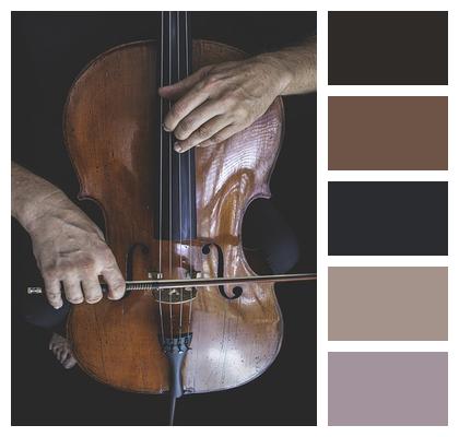 Cello Classical Music Musician Image